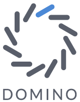 Domino Data Labs